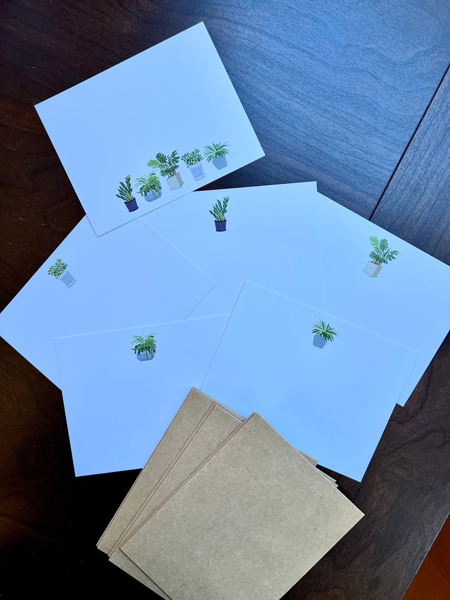 Boxed set of six notecards- potted plants